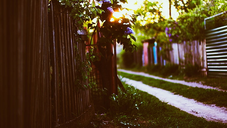кафява дървена ограда, кафява дървена градинска ограда, ограда, слънчева светлина, дълбочина на полето, боке, листа, HD тапет