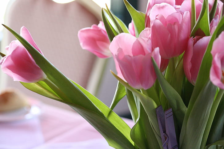 розовые цветы, тюльпан, тюльпан, тюльпан, букет, розовый, цветы, тюльпаны, солнечный свет, букет, природа, весна, цветок, розовый цвет, украшения, HD обои