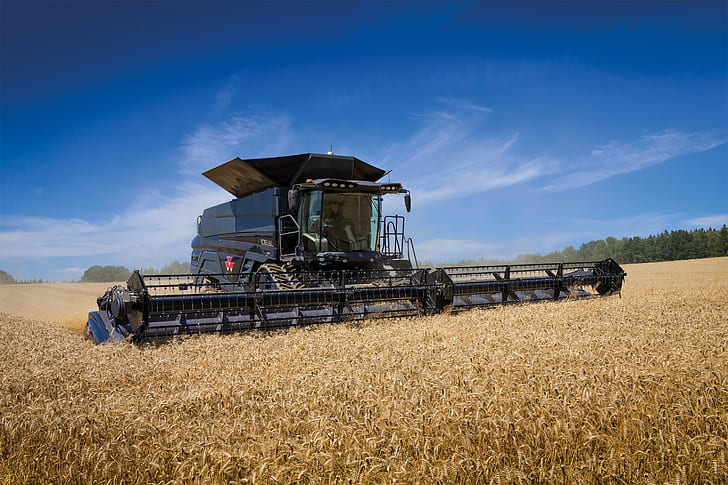 Field, Wheat, 2018, Massey Ferguson, Harvester, Massey Ferguson Ideal 9T, HD wallpaper