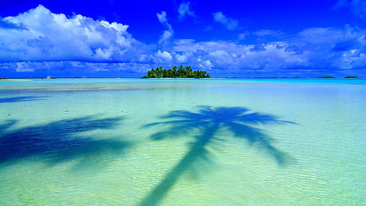 albero a foglie verdi, isola, mare, palme, cielo, nuvole, Sfondo HD