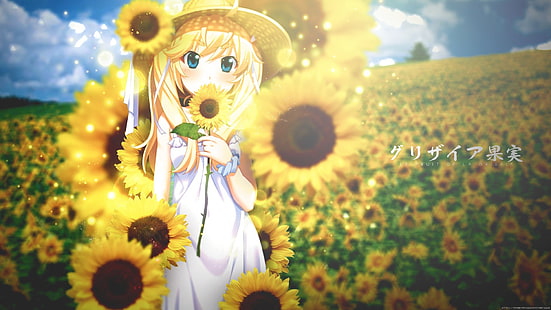 аниме момичета, слънчогледи, Grisaia no Kajitsu, Matsushima Michiru, HD тапет HD wallpaper