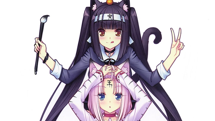 Anime Girls, Nekomimi, HD-Hintergrundbild