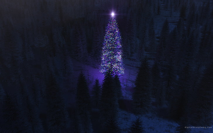 tree with purple and green string lights, forest, night, lights, tree, HD wallpaper