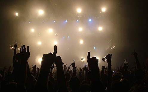 silhuett av publikens händer, musik, konsert, folkmassa, hand, ljus, HD tapet HD wallpaper