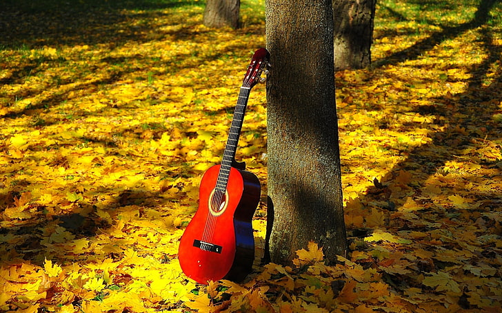 red classical guitar, FOREST, NATURE, TREE, TRUNK, RED, GUITAR, LEAVES, HARMONY, LIGHT, MOOD, SHADOW, FRETS, GRIF, STRINGS, DECA, AUTUMN, FOLIAGE, CONDITION, POETRY, LYRICS, INSPIRATION, HD wallpaper
