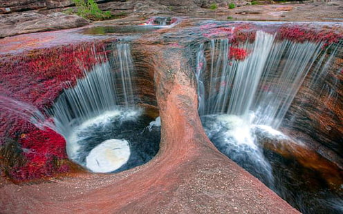 Cano Cristales River Colombia Wallpapers 1920×1200 Full Hd, HD wallpaper HD wallpaper