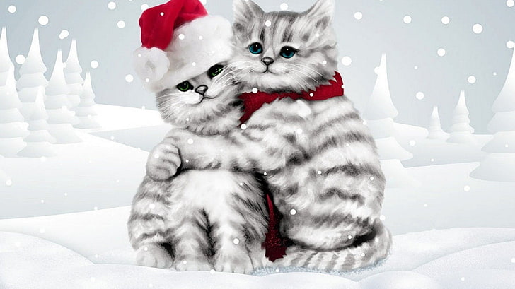 Cats, Cat, Christmas, Cute, Gray, Winter, HD wallpaper