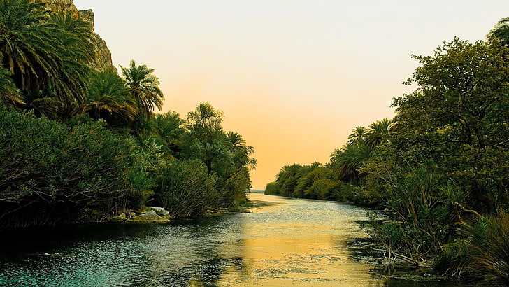 selva, río, Fondo de pantalla HD