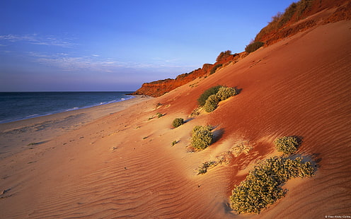 自然、風景、ビーチ、砂漠、オーストラリア、 HDデスクトップの壁紙 HD wallpaper