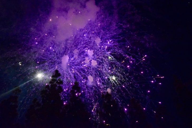 purple fireworks display, salute, sky, sparks, HD wallpaper