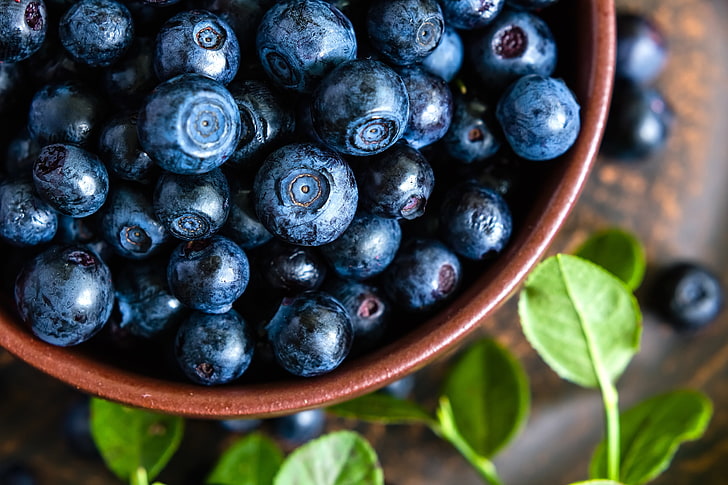 bunch of blueberries, berries, blueberries, bowl, fresh, blueberry, HD wallpaper