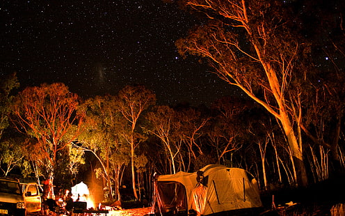 Perkemahan Stars Trees Camping Camp Fire Night, alam, pohon, malam, bintang, api, kemah, berkemah, Wallpaper HD HD wallpaper