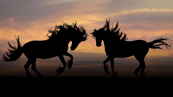 два силуэта лошадей, животные, природа, конь, HD обои HD wallpaper