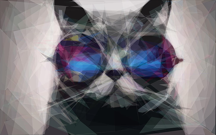 القط قصاصة فنية ، خلفية القط 3D ، القط ، النظارات الشمسية ، الفن الرقمي ، الحيوانات، خلفية HD