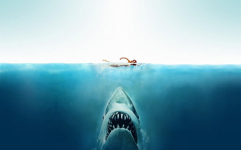 Jaws digital wallpaper, Jaws, movies, shark, split view, HD wallpaper HD wallpaper