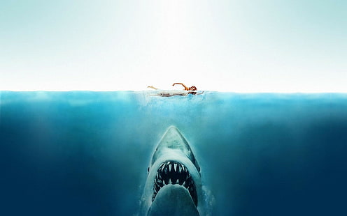 Челюсти, филми, акули, разделен изглед, море, човек, плуващ над акула, челюсти, филми, акули, разделен изглед, море, HD тапет HD wallpaper