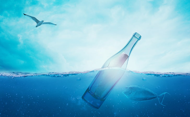 Bir şişe içinde mesaj, şeffaf cam şişe, Aero, yaratıcı, okyanus, mavi, balık, uçan, aşk, kuş, sualtı, tasarım, Photoshop, yüzen, yüzmek, martı, şişe, mesaj, fotomanipülasyon, HD masaüstü duvar kağıdı