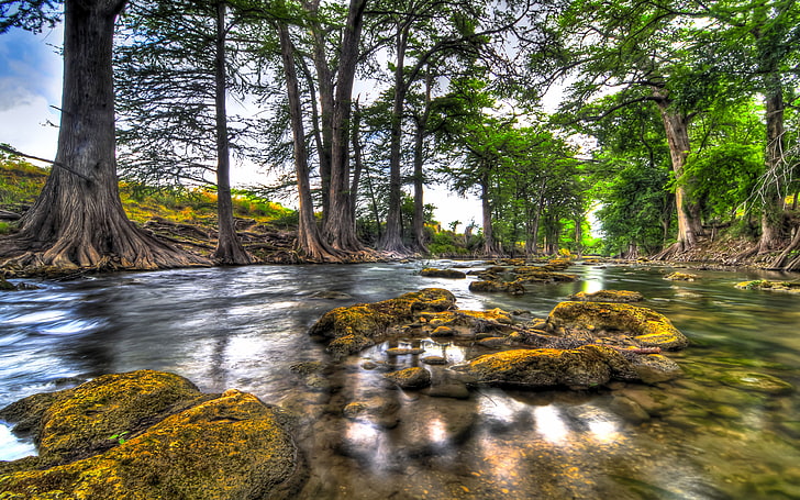 휴대 전화 및 컴퓨터에 대 한 강 물 돌 숲 나무 바위 반사 바탕 화면 HD 배경 화면 3840 × 2400, HD 배경 화면