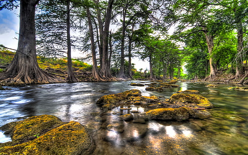 หินน้ำในแม่น้ำป่าต้นไม้ - หินสะท้อนเดสก์ทอปวอลเปเปอร์ HD สำหรับโทรศัพท์มือถือและคอมพิวเตอร์ 3840 × 2400, วอลล์เปเปอร์ HD HD wallpaper