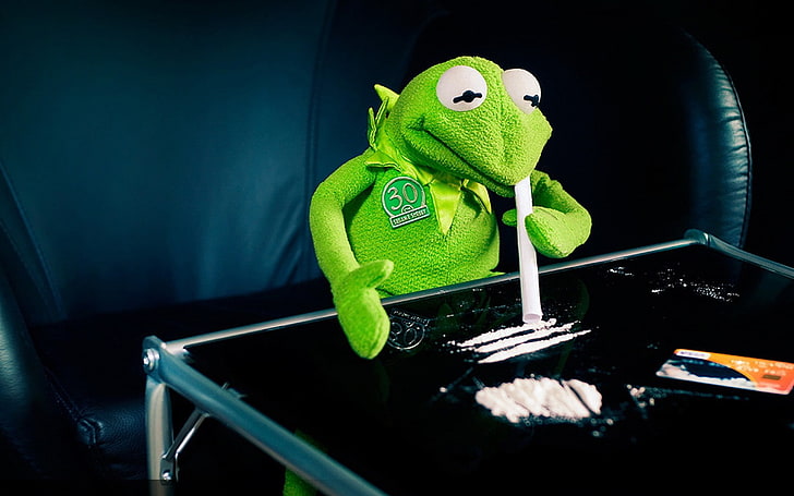 kermit the frog cocaine 1680x1050  Animals Frogs HD Art , Kermit the Frog, cocaine, HD wallpaper