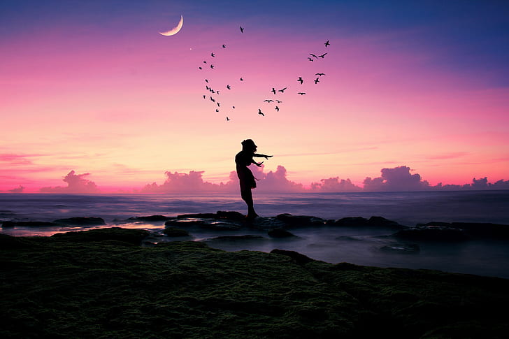 sea, beach, girl, happiness, sunset, birds, pose, stones, mood, the moon, shore, pack, a month, silhouette, twilight, the flight of the soul, HD wallpaper