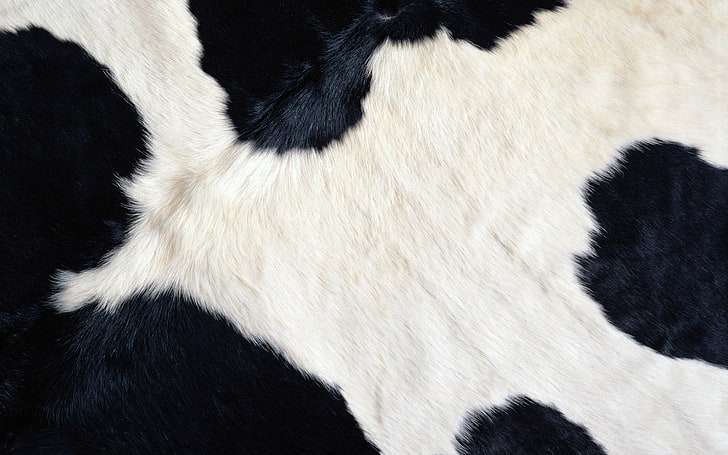 white and black area rug, spotted, fur, texture, wool, HD wallpaper