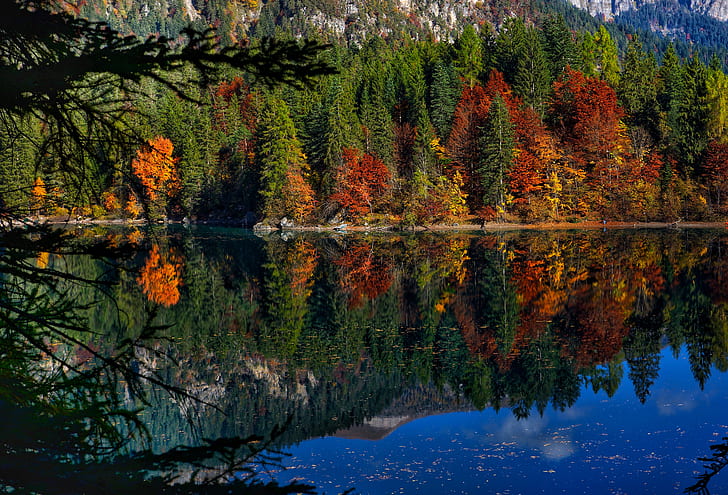 autumn, forest, trees, lake, reflection, Italy, Trentino, Lago Di Tovel, Lake Tovel, HD wallpaper