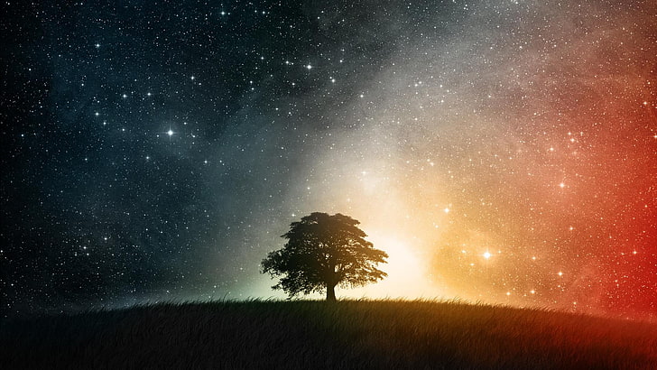 صورة ظلية لشجرة ، بسيطة ، أشجار ، نجوم ، فضاء ، فن فضاء ، طبيعة ، فن رقمي ، منظر طبيعي، خلفية HD