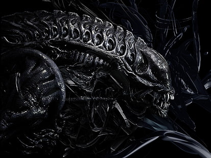 чёрные инопланетные обои, зубы, незнакомец, гигер, инопланетянин, HD обои HD wallpaper