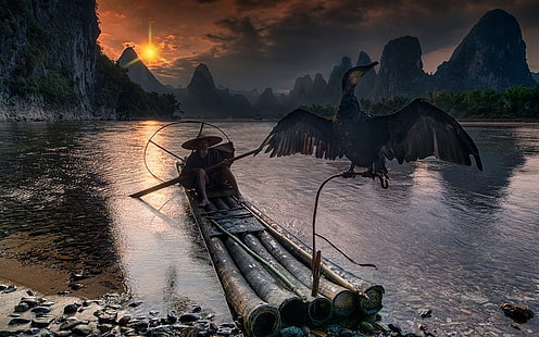 gray bird, nature, landscape, fisherman, cormorant, river, Guilin, China, mountains, sunset, forest, sky, clouds, boat, birds, HD wallpaper HD wallpaper