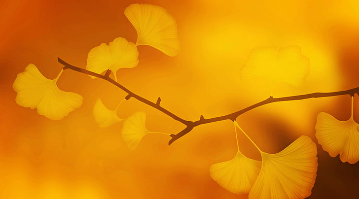 otoño, fondo, rama, brillante, ginkgo, hojas de ginkgo, árbol de ginkgo, dorado, otoño dorado, octubre dorado, infierno, japón, japonés, naturaleza, naranja, planta, luz solar, tierno, textura, hojas verdaderas, Fondo de pantalla HD
