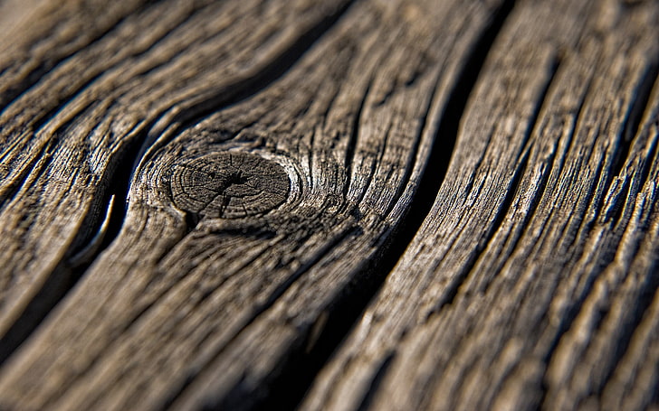 brown wooden board, close up photography of brown wood, wood, texture, macro, nature, wooden surface, HD wallpaper