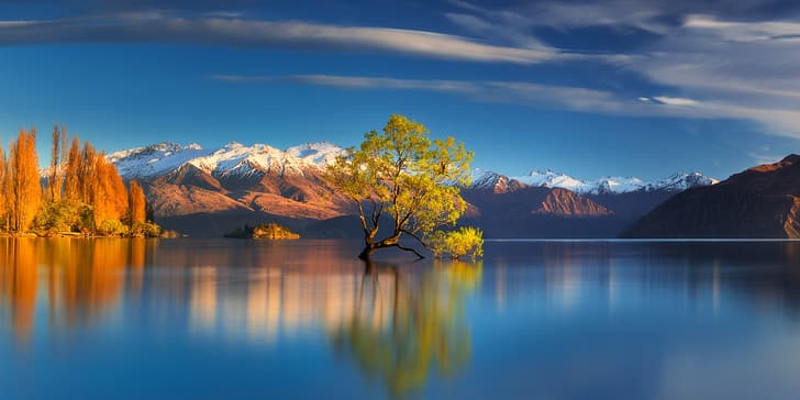 otoño, montañas, lago, árbol, Nueva Zelanda, Lago Wanaka, Alpes del Sur, Fondo de pantalla HD