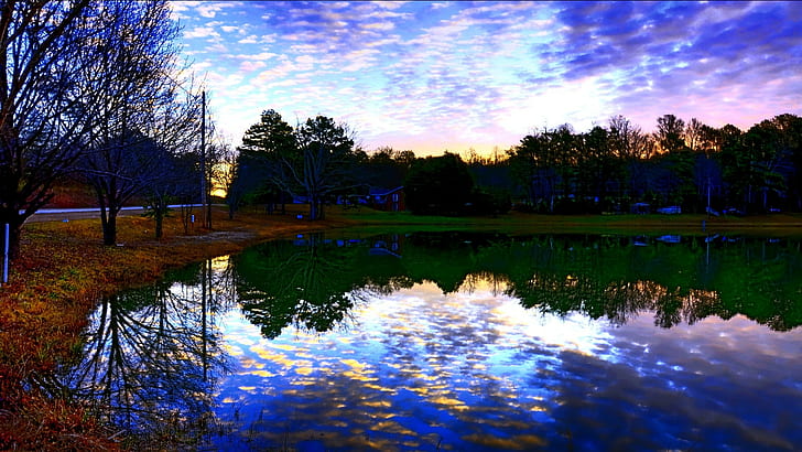연못 반사 나무 HD, 자연, 나무, 반사, 연못, HD 배경 화면