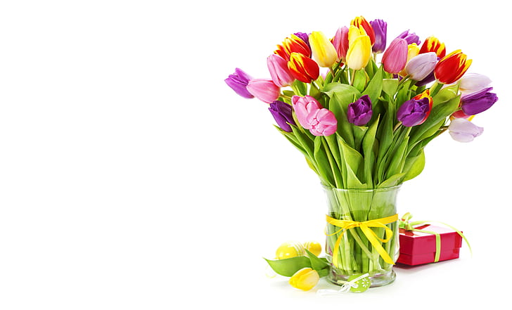 Vase Fleurs, fleurs, tulipes, vase, ruban, Fond d'écran HD
