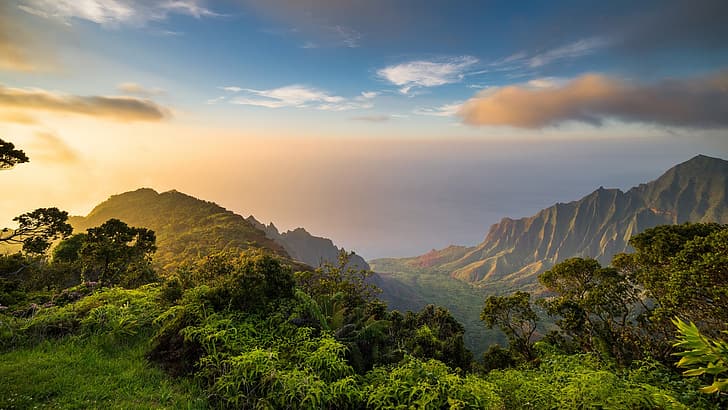 nature, landscape, clouds, trees, forest, sky, dawn, plants, horizon, Pacific Ocean, Kauai, Hawaii, HD wallpaper