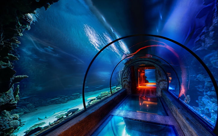 hallway in underwater, aquarium, tunnel, underwater, sea, HDR, HD wallpaper