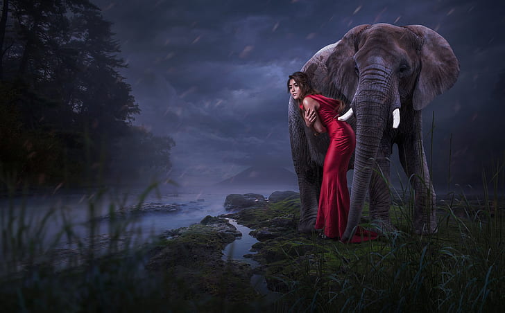 фэнтези девушка, красное платье, слон, женщины, животные, HD обои