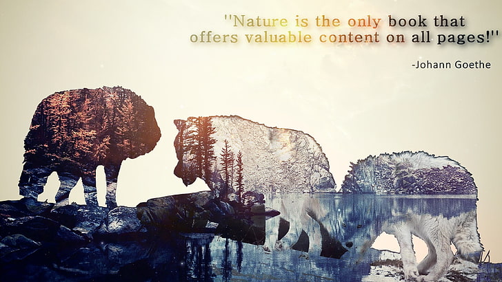 nature is the only book that offers valuable content on all pages by Johann Goethe text, nature, wolf, landscape, digital art, typography, HD wallpaper