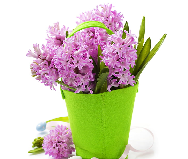 flowers, background, vase handbag, purple Hyacinths, HD wallpaper