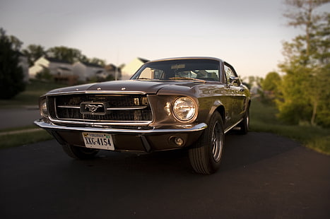 black Ford Mustang coupe, Mustang, Ford, 1967, HD wallpaper HD wallpaper