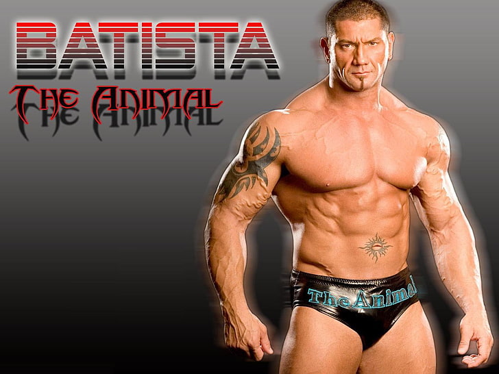 Batista The Animal, Dave Batista The Animal carta da parati digitale, WWE, super star, campione del mondo, batista, lottatore, Sfondo HD