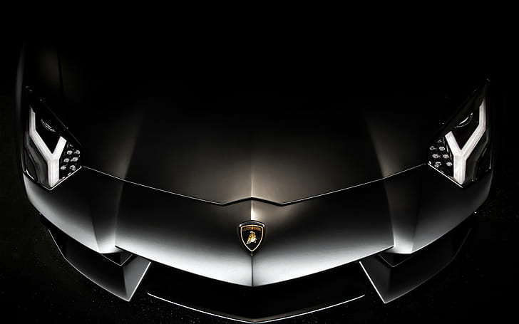 Lamborghini, Cool, Car, Известна марка, лого, lamborghini, cool, кола, известна марка, лого, HD тапет