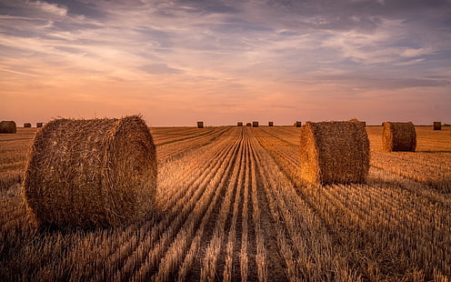 Пшенично поле, сено, лято, залез, пшеница, поле, сено, лято, залез, HD тапет HD wallpaper