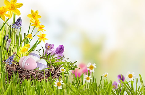 небо, трава, солнце, цветы, корзина, весна, пасха, нарциссы, яйца, украшения, Happy, крашеные яйца, HD обои HD wallpaper