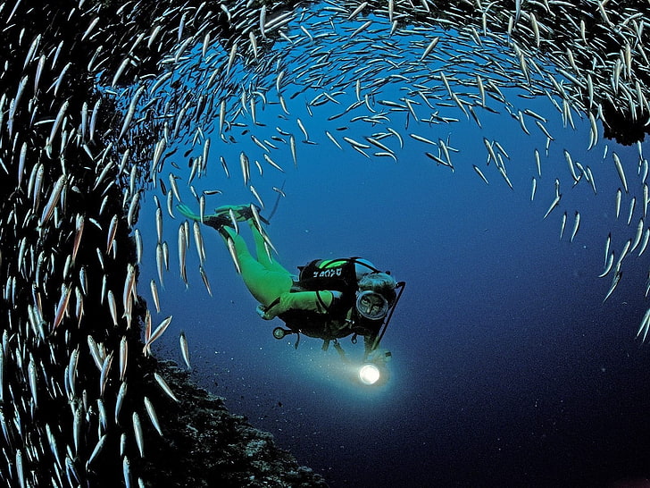 diving, HD wallpaper