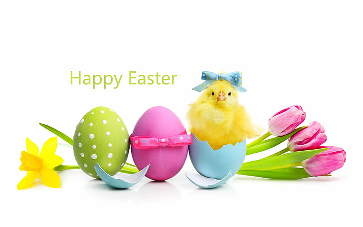 Holiday, Easter, Daffodil, Easter Egg, Egg, Happy Easter, Tulip, HD wallpaper