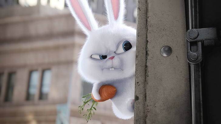 애완 동물의 비밀 생활, 토끼, 2016 년 최고의 애니메이션 영화, 만화, HD 배경 화면