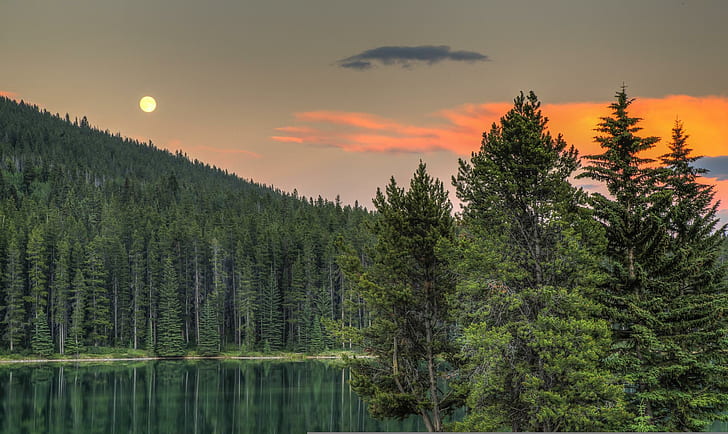 アルバータ州カナダ湖の森の夕日の木の写真の背景、湖、アルバータ、背景、カナダ、森林、湖、写真、夕日、木、 HDデスクトップの壁紙