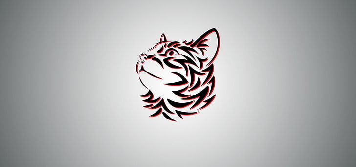 Schwarzweiss-Zebradruck, Katze, einfacher Hintergrund, HD-Hintergrundbild